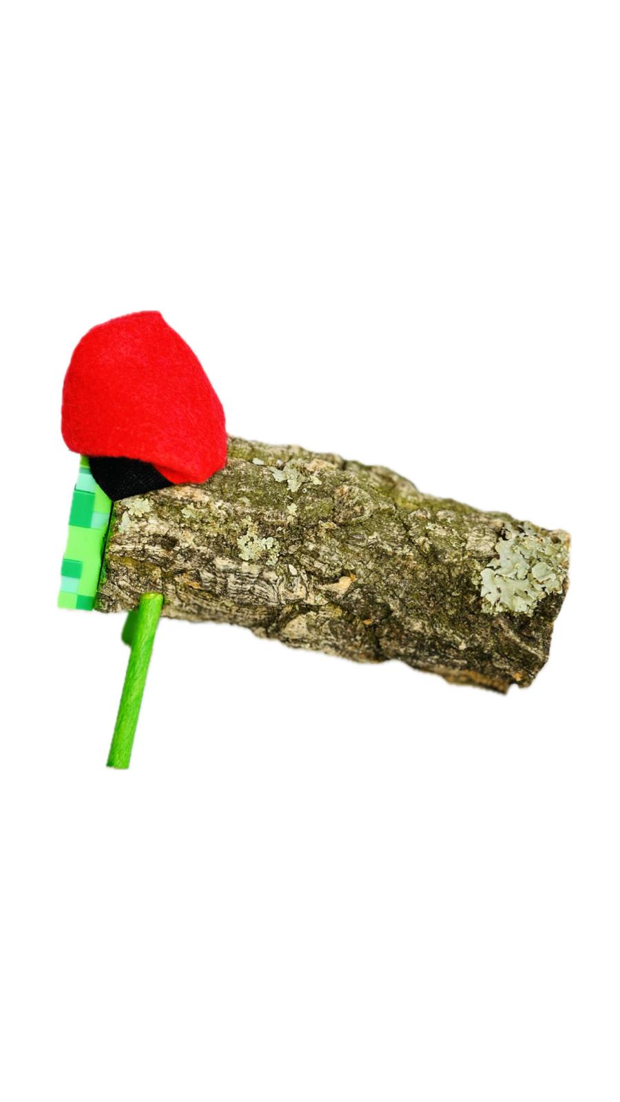 CREEPER MINECRAFT CARATIO